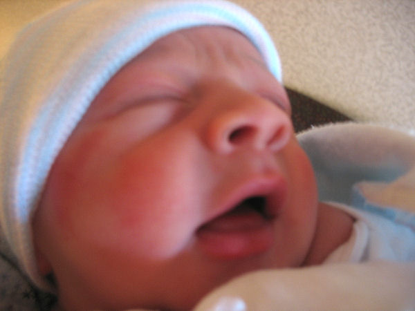 newborn baby pic