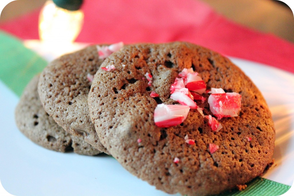 chocolate chocolate chip cookies