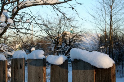 snow on fencepost