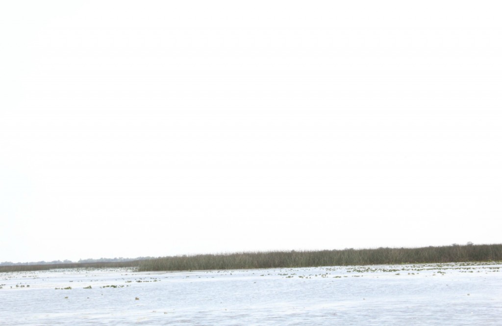 boggy creek airboat rides