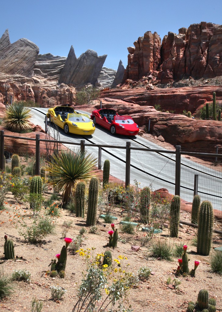 Cars Land Radiator Springs Racers