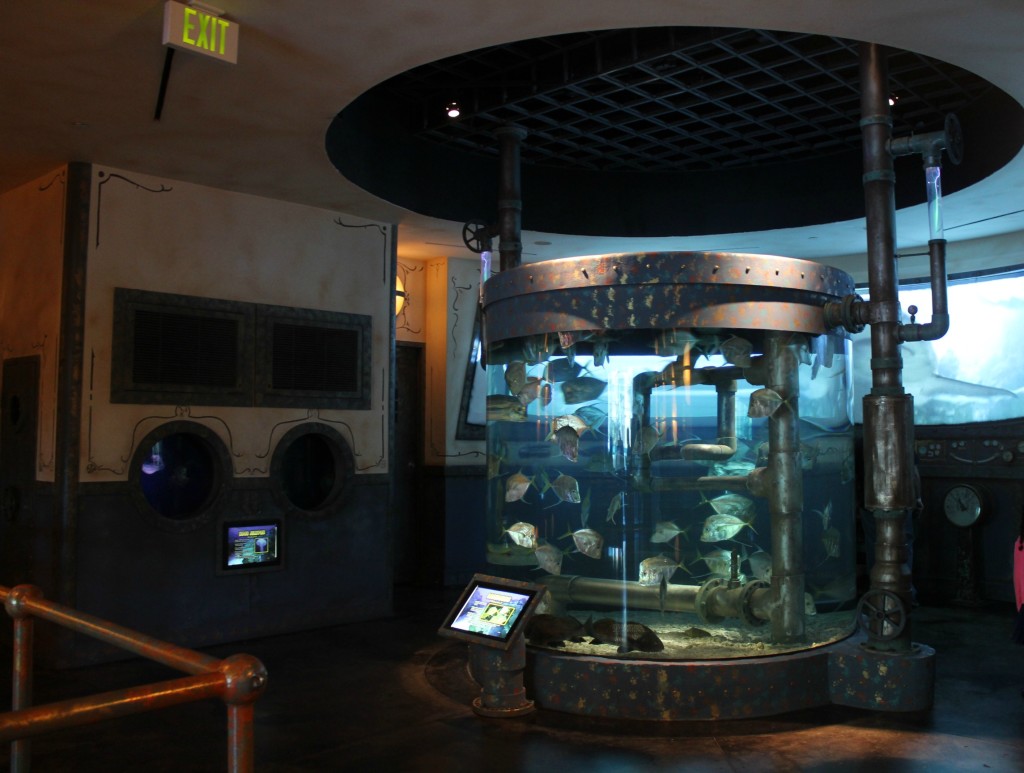 tank of fish at downtown aquarium