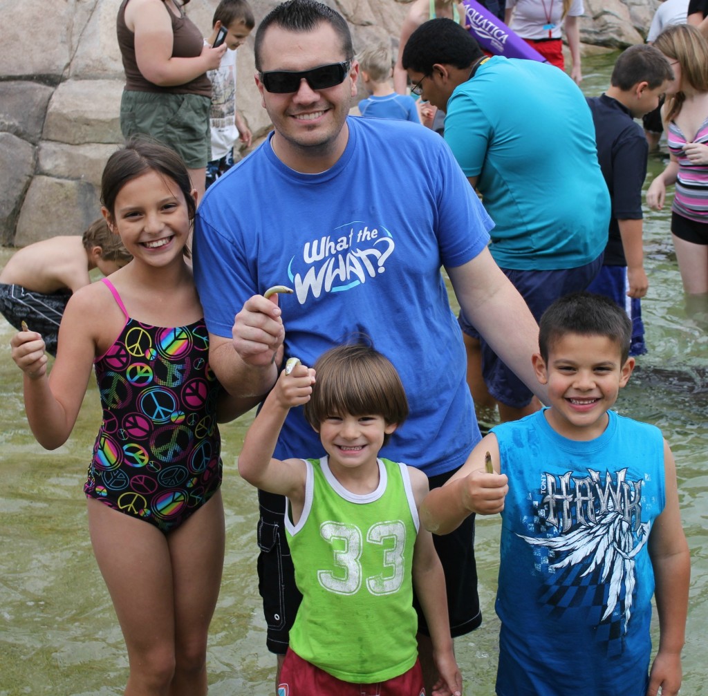 stingray encounter at seaworld