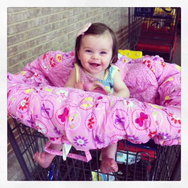 Shopping Cart Cover - Cart Seat Cover