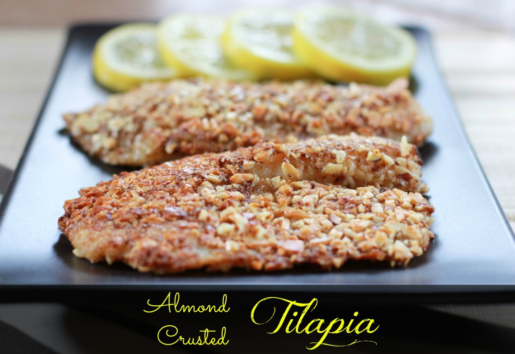 almond crusted tilapia recipe