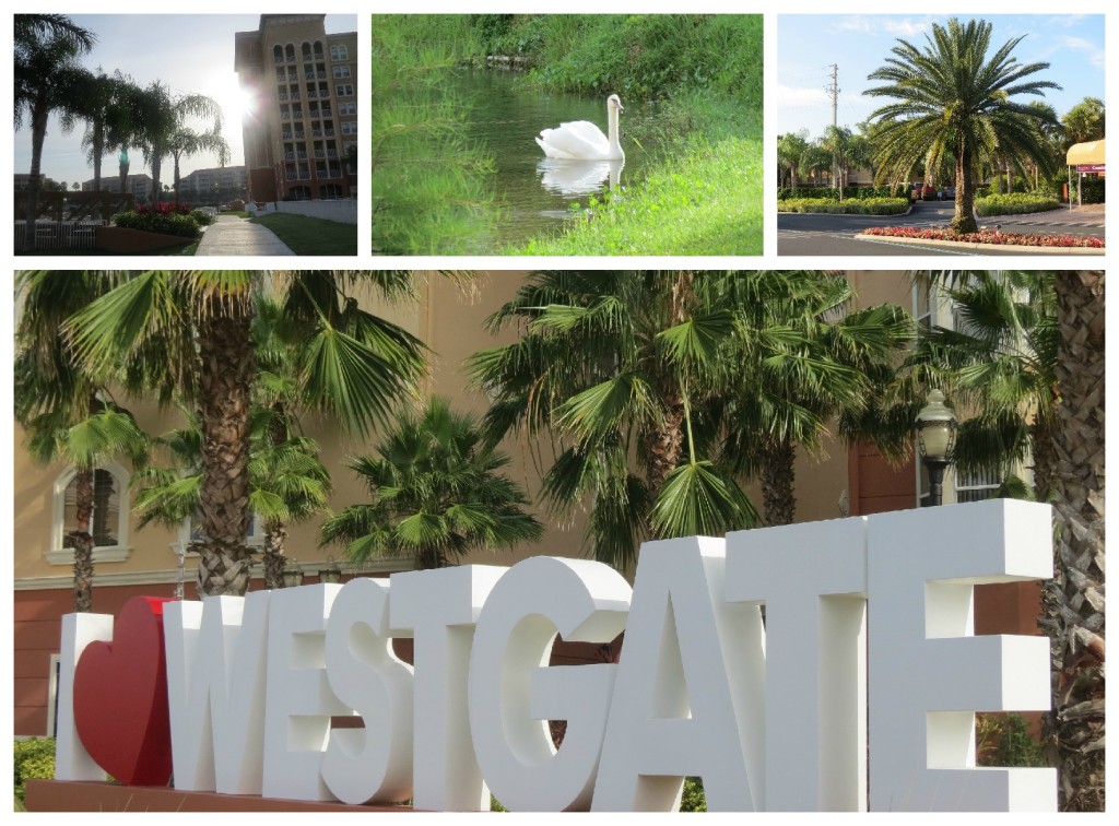 5 reasons to stay at westgate vacation villas kissimmee