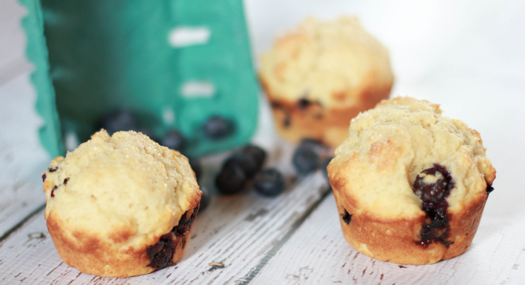 blueberry muffin recipe