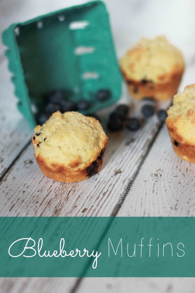 blueberry muffin recipe