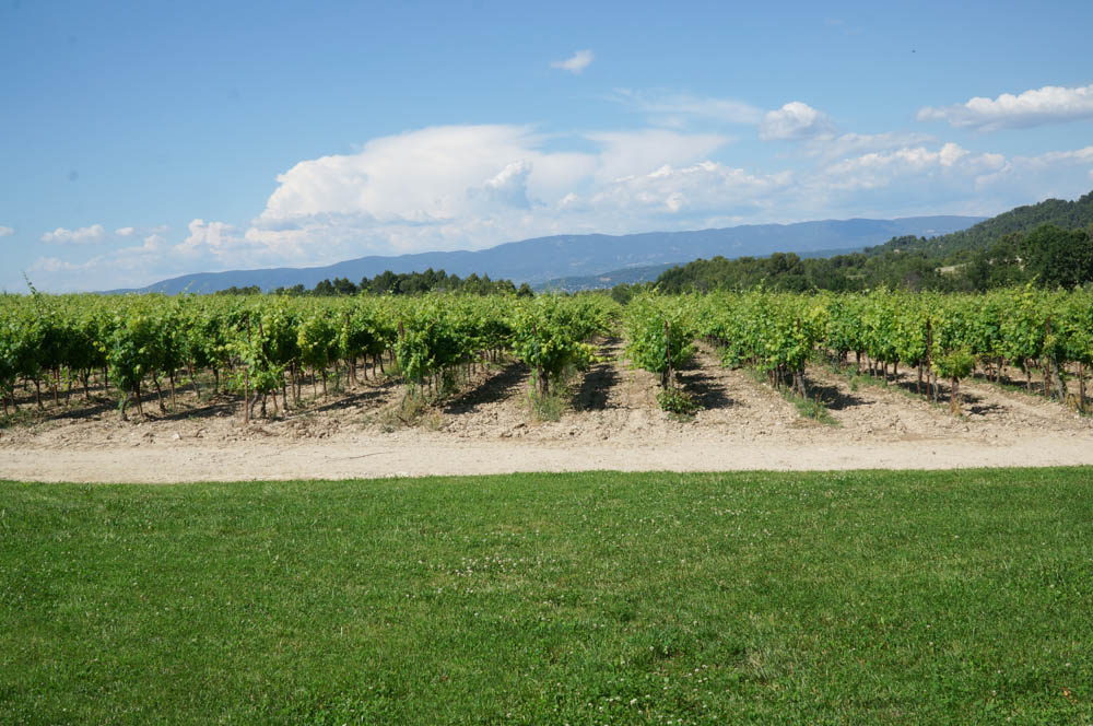 chateau la coste vineyard in aix en provence france