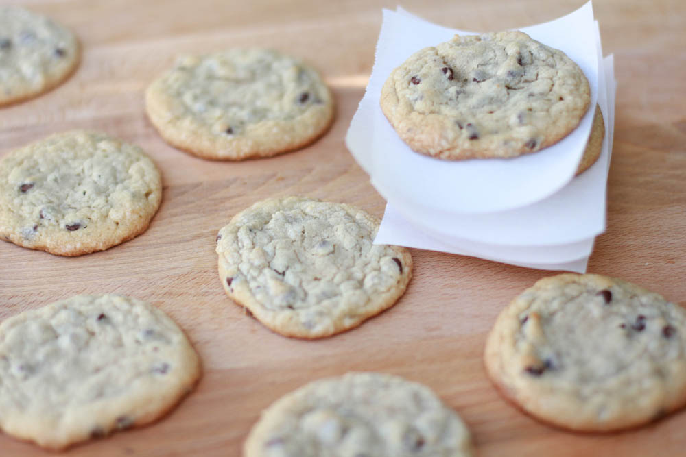 Cooler temperatures. Leaves changing colors. Pumpkin Spice. All indicators of fall. Celebrate with these Peanut Butter Pumpkin Spice Chocolate Chip Cookies.