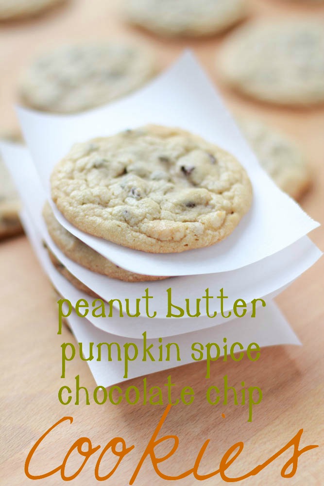 peanut butter pumpkin spice chocolate chip cookies