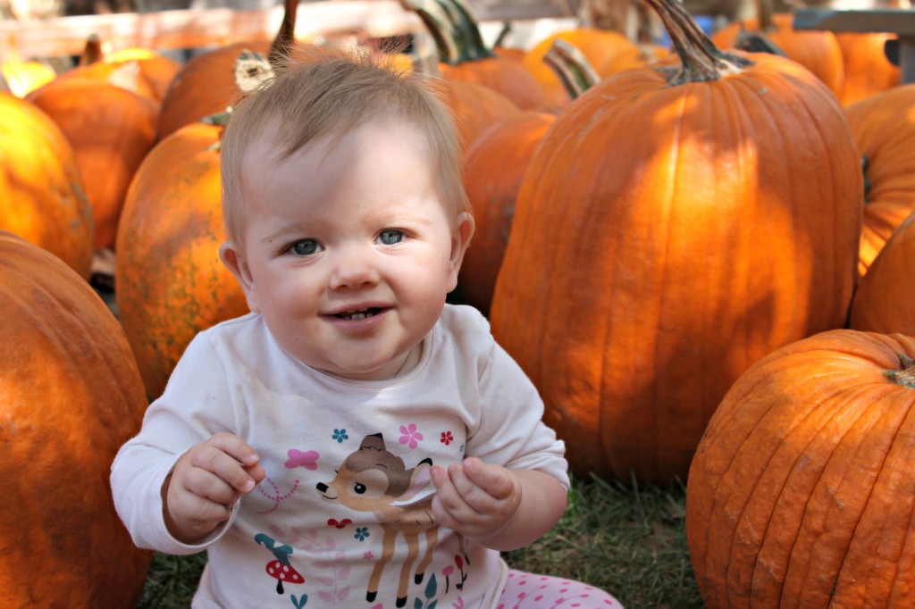 I love all things pretty. And so, I'm sharing these 15 pretty pumpkin ideas for Halloween as inspiration for your own pretty pumpkin!