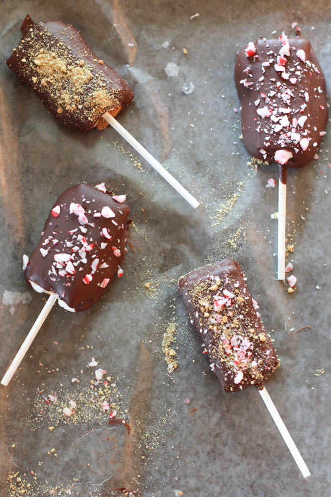Chocolate Covered S'mores Pops - the perfect holiday inspired treat