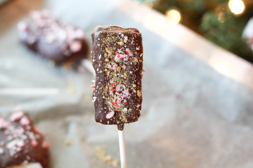 Chocolate Covered S'mores Pops - the perfect holiday inspired treat