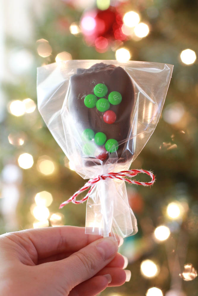 Chocolate Covered S'mores Pops - the perfect holiday inspired treat