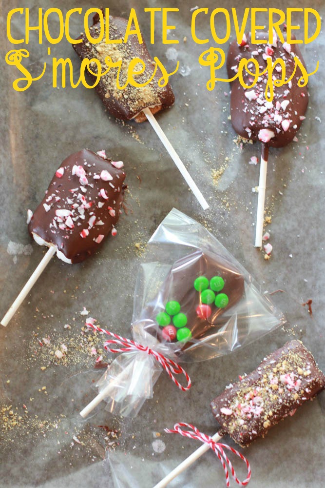 Chocolate Covered S'mores Pops - a delectable holiday inspired treat