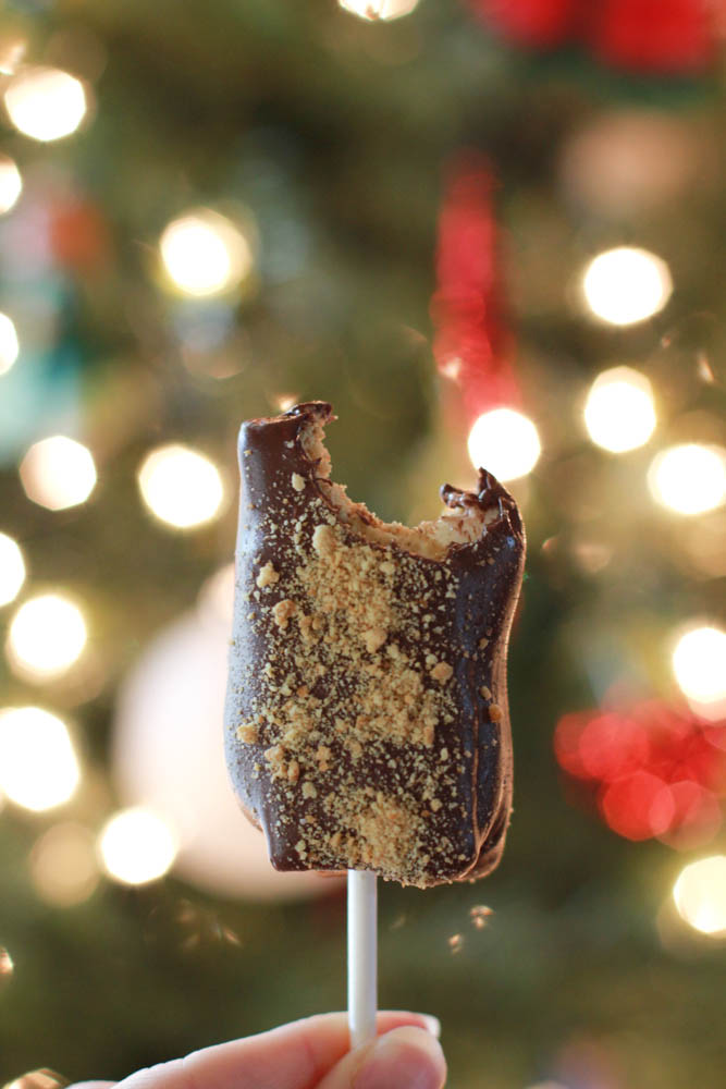 Chocolate Covered S'mores Pops - a delectable holiday inspired treat