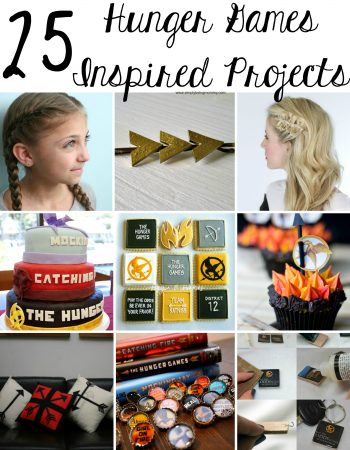 hunger games inspired projects