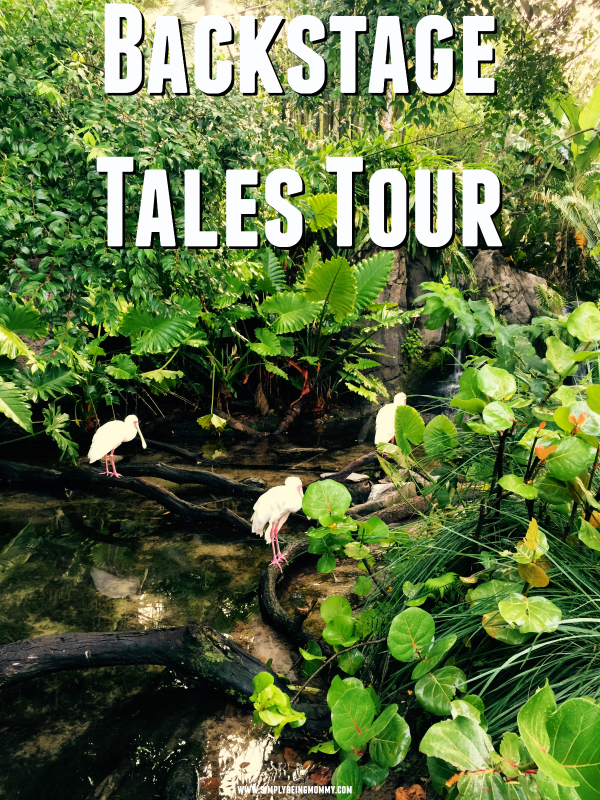 Next time you visit Disney, make sure you book the Backstage Tales Tour at Animal Kingdom.