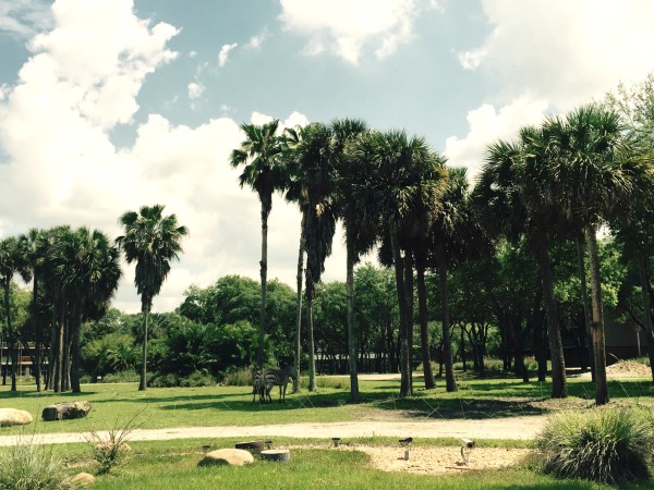 Learn more about how you can Dine with an Animal Specialist at Disney's Animal Kingdom Lodge.