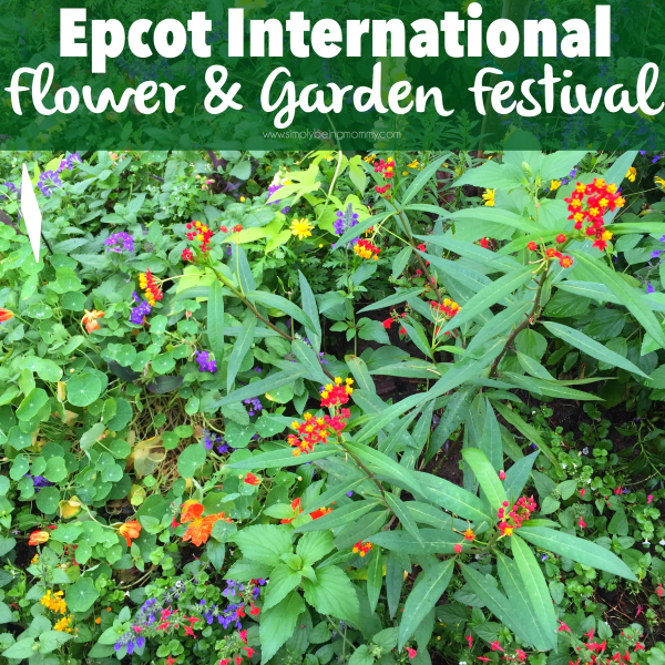 Visit the EPCOT International Flower & Garden Festival until May 17th.