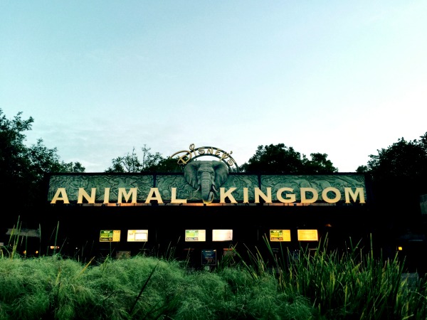 Next time you visit Disney, make sure you book the Backstage Tales Tour at Animal Kingdom.