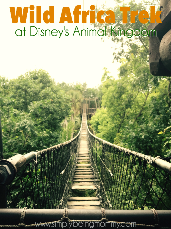 Experience a behind-the-scenes look at the animals on the Wild Africa Trek at Animal Kingdom.