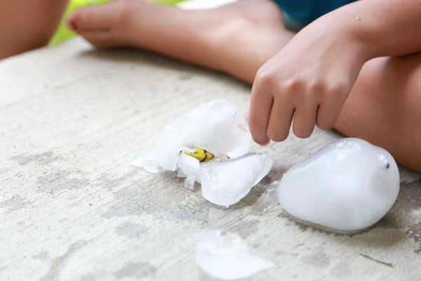 Do your children love dinosaurs? Then they'll love playing with these Frozen Dinosaur Eggs.