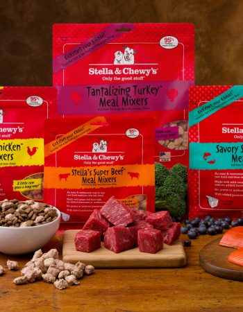 Upgrade your dog's kibble with Stella & Chewy's Raw Dog Food Mixins.