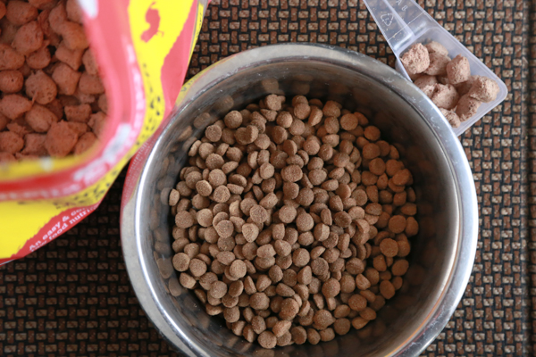 Upgrade your dog's kibble with Stella & Chewy's Raw Dog Food Mixers. These easy meal mixers make it easy to add raw pet nutrition to their diet.