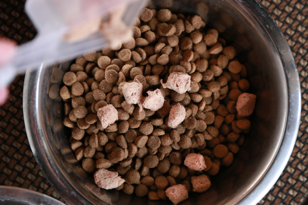 Upgrade your dog's kibble with Stella & Chewy's Raw Dog Food Mixers. These easy meal mixers make it easy to add raw pet nutrition to their diet.