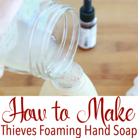 simply being mommy thieves hand soap