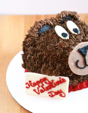 Celebrate this Valentine's Day with this adorable Baskin-Robbins Teddy Bear Cake. Celebrating a different occasion, no problem. Change the message and use it for any occasion you wish!