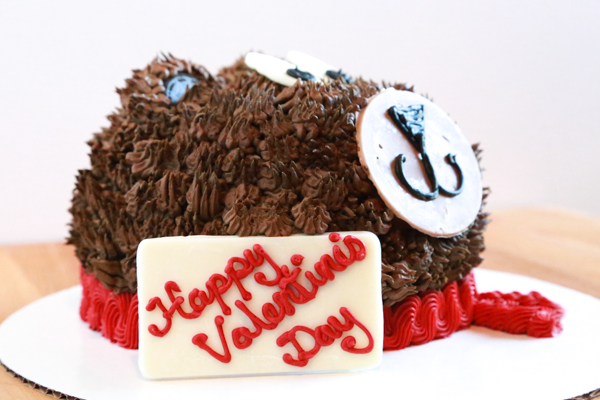 Celebrate this Valentine's Day with this adorable Baskin-Robbins Teddy Bear Cake. Celebrating a different occasion, no problem. Change the message and use it for any occasion you wish!