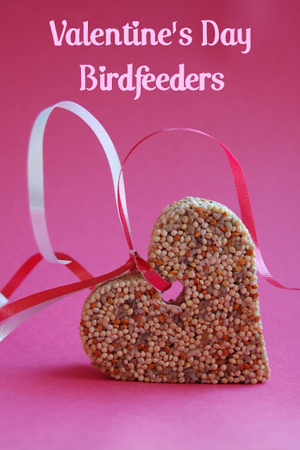 a heart-shaped bird feeder with ribbon to hang it up