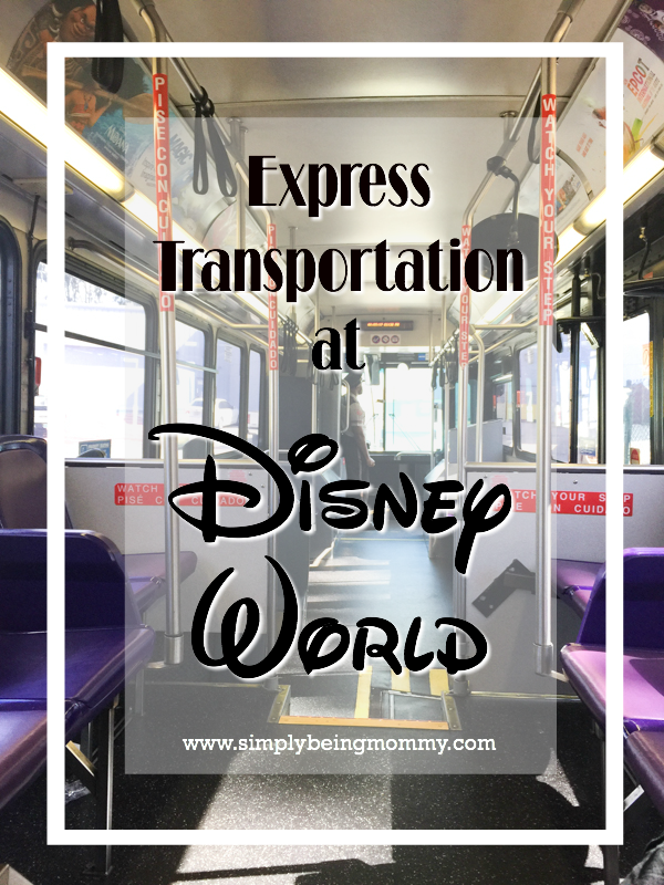 Make the most of your magical Disney vacation with Express Transportation at Disney World. It's the best way to get from park to park.