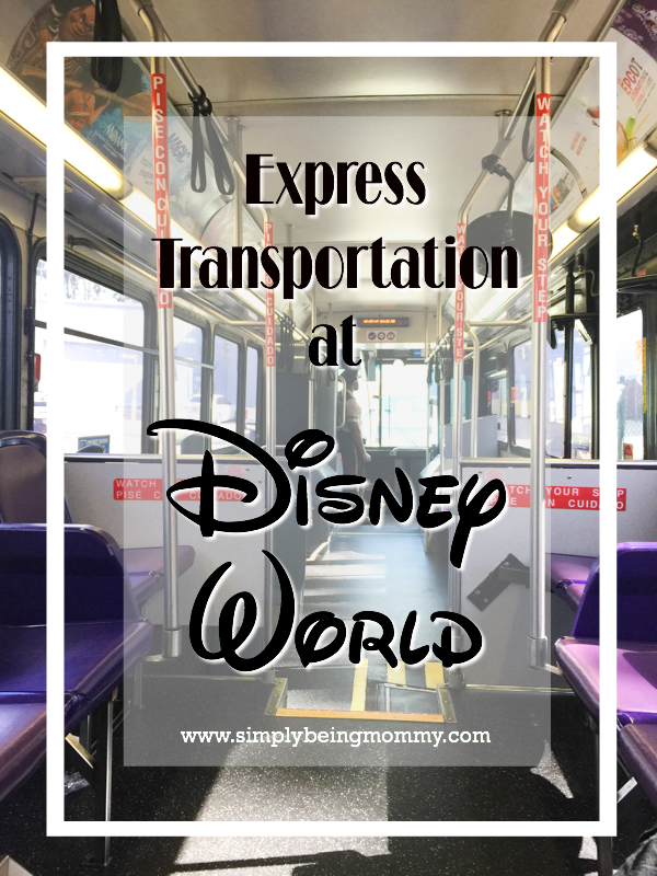 Theme Park Express Transportation to Walt Disney World