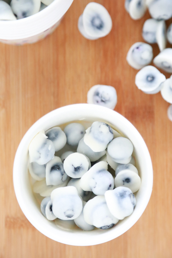 yogurt covered blueberries