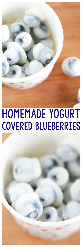 Homemade Yogurt Covered Blueberries | Simply Being Mommy