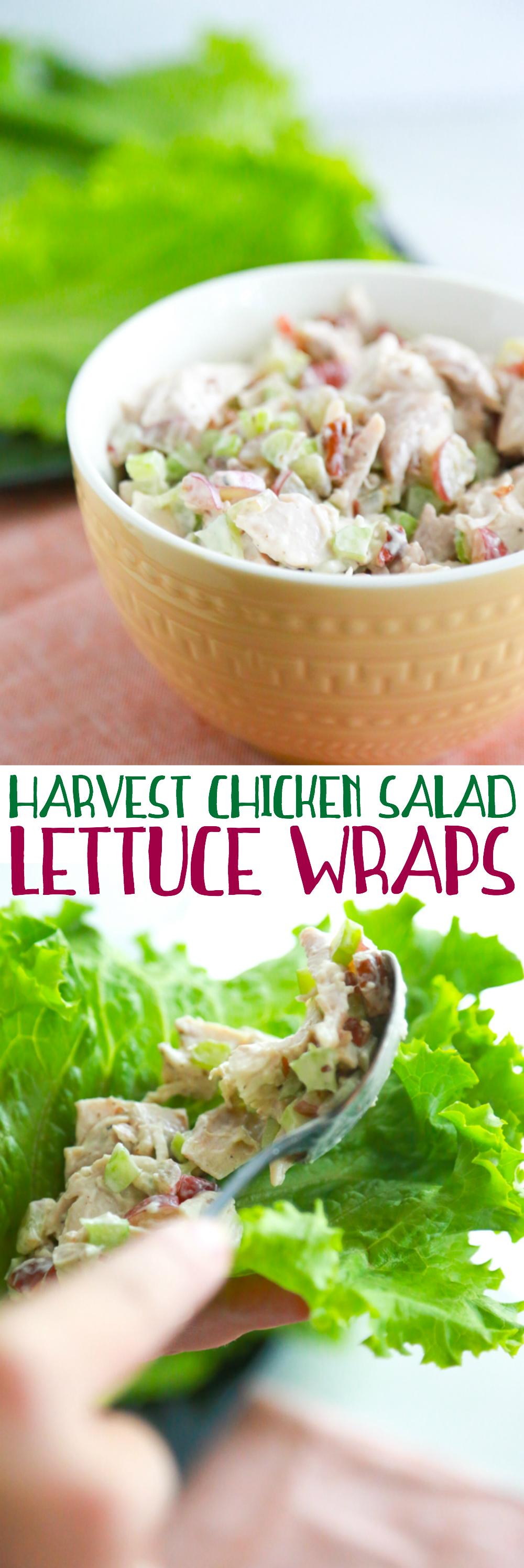 Forget Chicken Salad on a bread or bun. Save the carbs for dessert and try these Harvest Chicken Salad Lettuce Wraps.