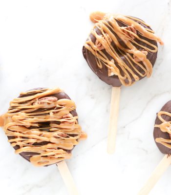 If you haven't tried Turtle Apple Pops AKA Deliciousness on a Stick - you're totally missing out. These little treats are perfect for everyone.