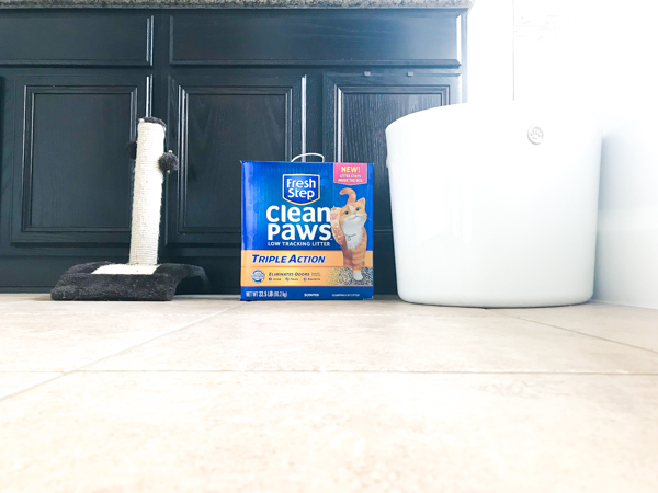 a litter box with fresh step clean paws cat litter