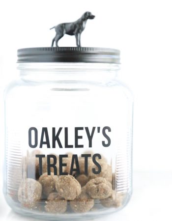 a glass jar transformed into a homemade dog treat jar