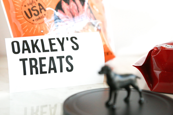 If you're looking for a cute way to store your dog's favorite treats, this Homemade Dog Treat Jar is easy to make and is super cute!