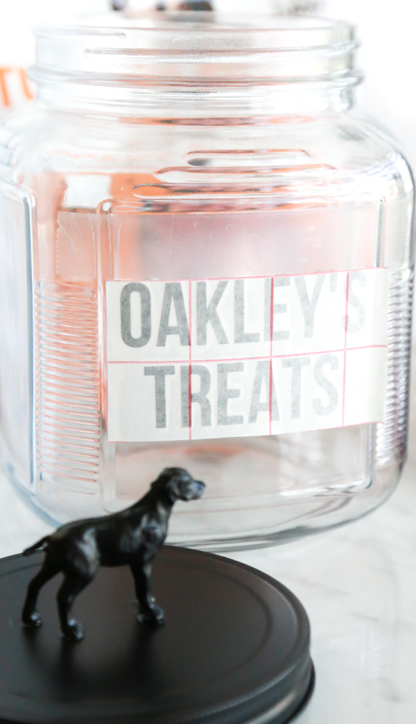 If you're looking for a cute way to store your dog's favorite treats, this Homemade Dog Treat Jar is easy to make and is super cute!