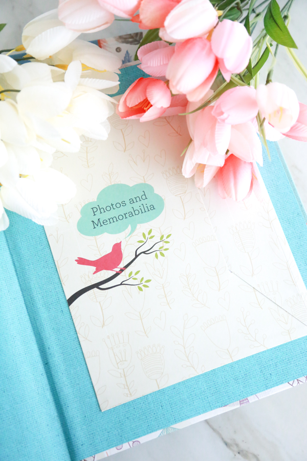 Leave your grandchildren more than just memories with these Grandparent Journals. 
