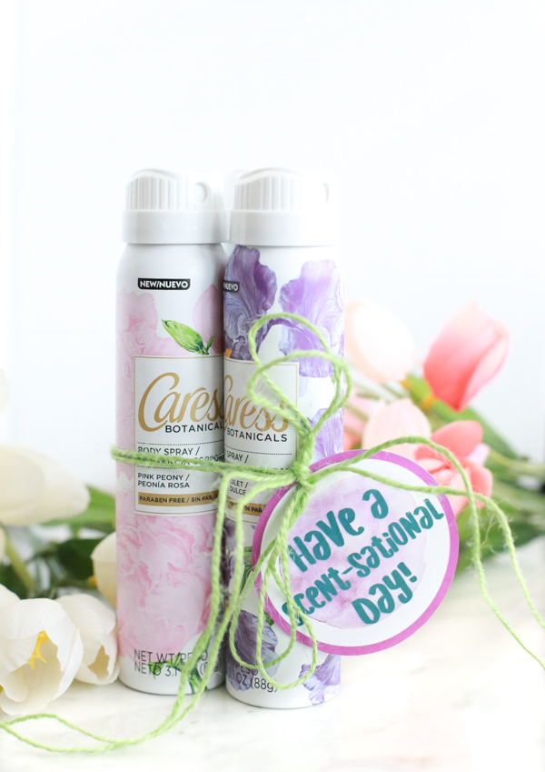 Awaken your senses this summer with fresh, light scents from the new Caress Botanical Body Sprays line. Make a unique scent just for you by mixing and matching your favorite Caress Botanical Body Sprays. 