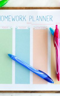 Get ready for homework season with this free printable homework planner for students.