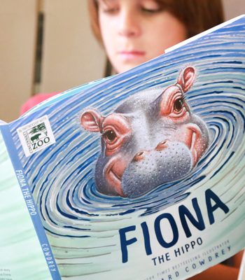 The story of Fiona the Hippo, and the beautiful illustrations in the book are sure to become a fast favorite in your home, as it has in mine.