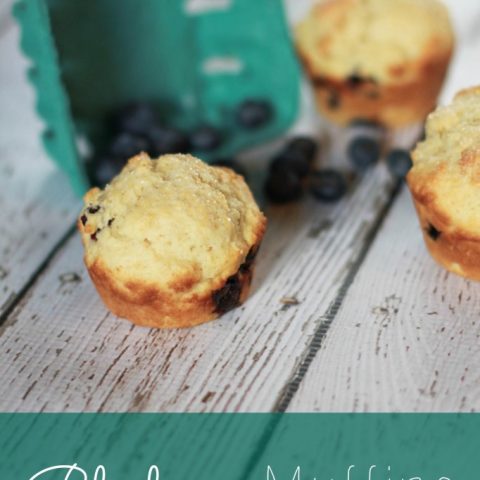 Blueberry Muffins